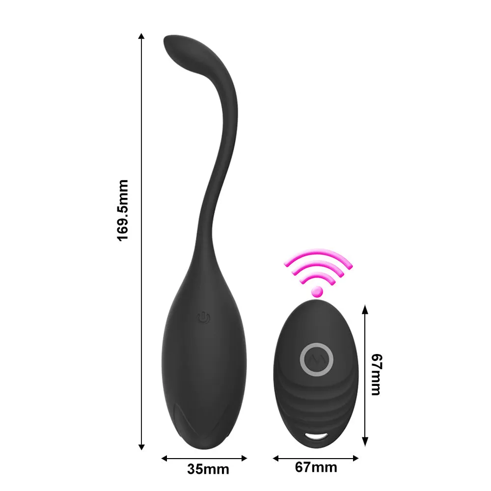 Wearable G-Spot Egg Vibrator Remote Control Vibrating Bullet Couples Sex Toy